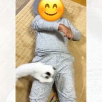 仰向けになったパパ→猫じゃらしを円を描くように振ると…可愛すぎる『遊びの様子』に「なんて最高な遊びｗ」「やばい永遠に見ていられるｗ」と絶賛