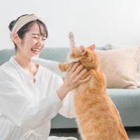 猫が『抱っこが大嫌い』になってしまう4つの理由　抱っこに慣れてもらう方法はある？