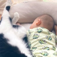 赤ちゃんがお昼寝していると、そっと猫がやって来て…『泣けるほど愛おしい瞬間』に「家族と認識してる証」「あったかいからね」と反響