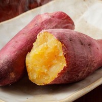 秋の味覚『さつまいも』猫が食べても大丈夫？得られる栄養素や与える際の注意点を解説