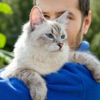 『ネヴァマスカレード』を知っていますか？特徴や歴史、性格をご紹介！