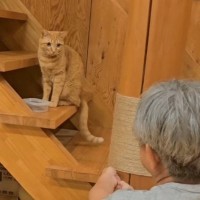 3歳の誕生日を迎えた猫に……父が用意した『贈り物』と『猫の反応』が素敵すぎると53万再生「本当に優しいパパ」「愛情たっぷりだね」と絶賛