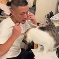 仕事相手と電話中の男性→かまってほしい保護猫が、ヒザに手を伸ばして…絶対に無視できない『健気な行動』が265万再生「可愛いネコハラ」