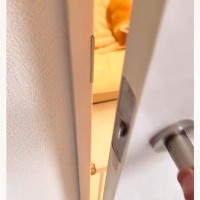 『犬の散歩中についてきた子猫』を保護して1か月半…帰宅すると、『まさかの瞬間』が132万再生「お兄ちゃんが優しいんだね」「たまらん」