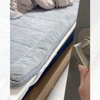 子猫がいる部屋のドアを開けると…可愛すぎる『寝起きの様子』が42万再生「すごい癒された」「発狂してしまった」と悶絶する人が続出