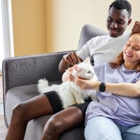 猫が彼氏・彼女に塩対応…『愛猫』と『仲良くなってほしい人』の間を取り持つための3つの方法