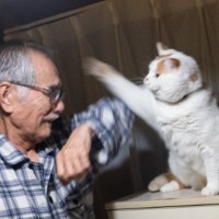 お父さんが猫に『おやすみ』を言いに近づいたら…まさかの『返し』に２万いいね「肉球のあとがついてて可愛い」「ふたりの表情が最高」