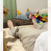 体調不良で横になる飼い主さん→隣に『兄弟猫が来た』かと思ったら…まさかの行動に10万いいね「ママのとなり争奪戦かな」「お、お大事にｗ」