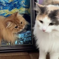 ハウスと一体化する同居猫に気が付かなくて…『通り過ぎようとした』次の瞬間→思わぬ展開に「爆笑した」「絵だと思ったのねｗ」と３万いいね