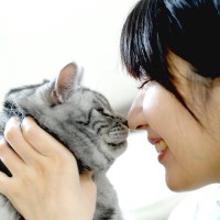 猫を飼うと生活はどう変わる？毎日のルーティンとなる『3つの習慣』とは