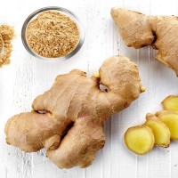 猫は『生姜』を食べても大丈夫？与えるメリットや注意すべきポイントを解説