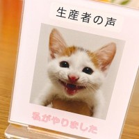 『生産者』愛猫のアクリルスタンドの前に置いてあったのは…とっても貴重な『モノ』に「一生の宝物だね」「おめでとうございます」と２万いいね