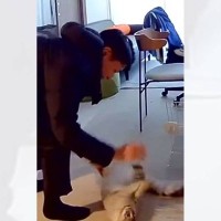 見守りカメラの様子を見たら、パパと猫が…微笑まずにはいられない『ふたりのやり取り』が29万再生「爆笑してしまった」「気付いてるんかなｗ」