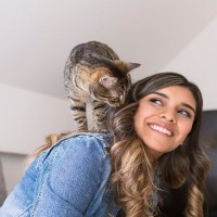 猫が憧れる『理想の生活』とは？欠かせない7つの条件と環境作りのコツ