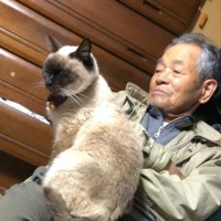 おじいちゃんと野良のシニア猫が出会った結果…最期まで寄り添った『温かな日々』に涙する人が続出「号泣してしまった」「ひたすらに愛が伝わる」