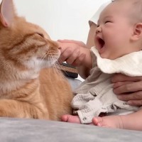 生まれたばかりの赤ちゃん→初めてネコのことを撫でたら…涙が出るほど『可愛すぎる光景』が11万再生「尊すぎて泣ける」「すごく癒された」