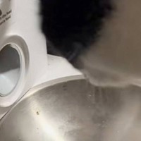 壊れてしまった自動給餌器の前でネコが…まさかの方法で『取り出す光景』が447万再生「頭よくて草」「壊したのあんたやでに吹いたｗ」