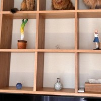 棚の上段スペースを見たら、猫たちが…思わず二度見する『圧巻の光景』に３万いいね「ニャン数分の個室を完備」「めっちゃカッコいい」と話題に