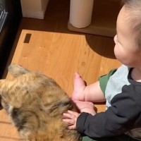 生まれたときから猫といっしょに育った赤ちゃん→猫のことが好きになっていって…愛にあふれた『成長記録』に感動「ただただ愛らしい」