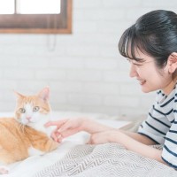猫が『目をそらす』ときの心理3つ　素っ気ないわけではない？意外な事実とは