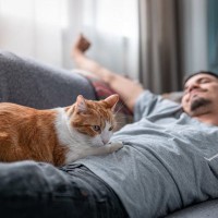 飼い主さんが「気絶したふり」をしたら、愛猫はどうする…？　SNSでの投稿が増加中
