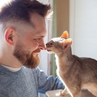 猫が『ありがとう』と伝えているときのサイン4つ　意外な行動に感謝の気持ちが隠れているかも？