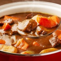 猫に『カレー』を絶対に与えてはいけない理由5つ　起こりうるトラブルから誤飲時の対処法まで