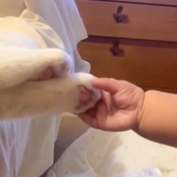 猫と赤ちゃんが１年近くともに生活した結果…尊すぎる『日々の記録』に感動の声続出「素敵すぎてうるっときた」「愛おしい思い出」