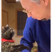 お父さんがお肉を調理していると、猫がやってきて…ついあげたくなる『反則級のおねだり』が60万再生「困ったな…（歓喜）」「可愛すぎる」
