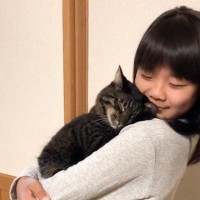 女の子が手を広げると、ネコがジャンプで乗ってきて…次の瞬間→『泣けるほど尊い光景』が236万再生「幸せを感じた」「涙が出てしまった」