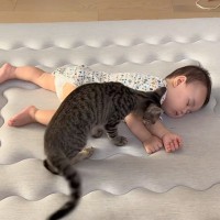 お昼寝している赤ちゃんのそばで…隣にやって来た猫がとった『まさかの行動』が尊すぎると210万再生「なんか涙出てきた」「やばい泣ける」