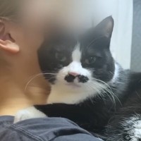 ママにべったりな『超甘えん坊猫』→パパにくっつかれると…想像を超える『態度の差』に爆笑する人が続出「涙が止まらんｗ」「極端すぎてｗ」