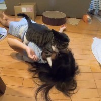仰向けで寝転がる娘→上に『猫』が乗ってくると…あまりにも尊い『仲良しなやり取りの様子』に反響「愛情表現だね」「完全にニャンプロｗ」