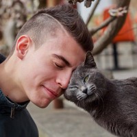 猫が『頭突き』してくるときの理由4選　どんな意味があるの？愛猫が伝えたい気持ちとは