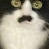 猫を撮ったら『手ブレ』が奇跡を起こして…瞳を見てみると→まさかの模様が可愛すぎると10万表示「愛し合っているからね」「素敵」