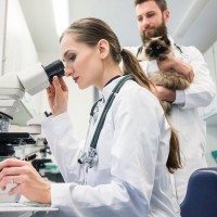 猫に多い心臓病「心筋症」について｜主な症状から治療法まで獣医が解説