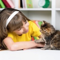子猫の『社会化期』に身に付けたいこと3つ　慣れさせておくべき理由やトレーニング術も解説