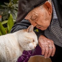 愛猫との『絆を深める』ために取り入れたいこと4つ　心の距離が縮まる理由や接し方のコツ