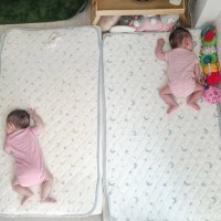 お昼寝中の『赤ちゃんたちの様子』を見に行くと、猫が…予想外の光景とほっこりする瞬間に１万いいね「ポジションが完璧ｗ」「監督にキュン」