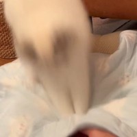 冷感マットへのダイブを決めたネコ→チラリと見てきたかと思ったら、『次の瞬間』…まさかの行動が14万再生「え、可愛いｗ」「むささび？ｗ」