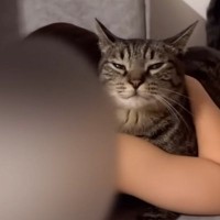 泣いている女の子のそばで、猫が…つい目頭が熱くなる『優しい行動』に「涙が出た」「感動で泣いてしまった」「本当に愛おしい」と14万再生