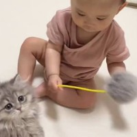 赤ちゃんが『赤ちゃん猫』の前で猫じゃらしを使った結果…思わず癒される『尊い光景』に反響「癒しをありがとう」「かわいいが渋滞してる」