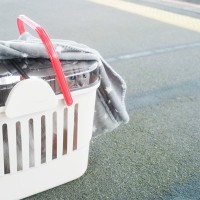 猫と『電車』に乗る前に知っておくべきこと3選　守りたいマナーやルール、注意点まで