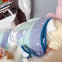 眠っている赤ちゃんのそばで『猫』が…まるで子守をしているかのような『心温まる光景』に癒される人続出「尊すぎる」「可愛くて泣く」と59万表示