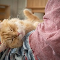 猫との暮らしで『幸せを感じる瞬間』7選　何気ない日常がかけがえのない時間に？