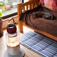 猫が過ごしがちな『お気に入りスポット』7選　好んでいる理由や環境の整え方