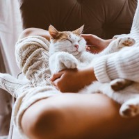 猫が『赤ちゃん返り』するときの理由3選　甘えてくる愛猫への適切な対処法とは？