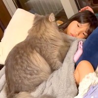 寝転がる２人の女の子→ネコが混ざろうとした結果…思った以上に『愛おしい光景』に注目集まる「猫団子になってる」「集まって癒しタイム」