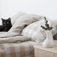 猫が『飼い主の枕』で寝ようとする理由5選　可愛い心理や一緒に寝るときの注意点も解説