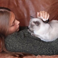 猫が『心を許した人』にみせるサイン5つ　行動の意味から信頼されるためのコツまで